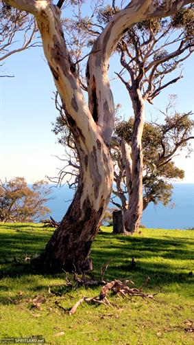 Country & Ocean, SA. 